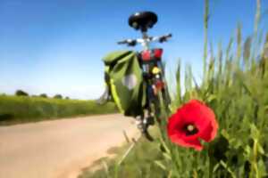 photo Balade vélo gourmande à Montoire-sur-le Loir