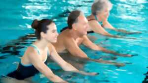 photo Circuit training