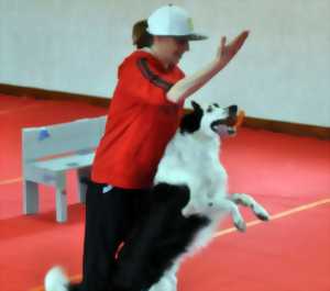 photo Concours national de dog dancing