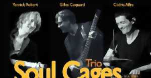 photo CONCERT SOUL CAGES TRIO