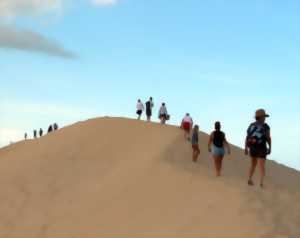 photo Dune du Pilat  - Balade commentée à deux voix