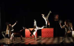 photo Spectacle Ballet Bar - Cie Pyramid