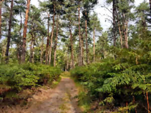 photo Randonnée nature: La butte aux gens d'armes  par Karuna Nature