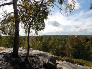 photo Les bruyères de Frais-Vent