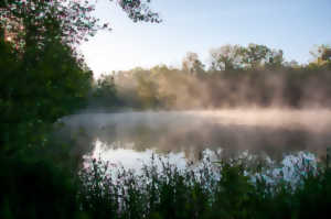 photo À la découverte du Marais de Chantraine