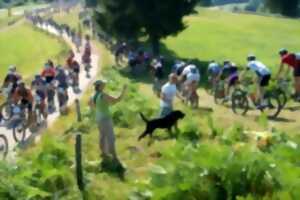 photo Rando vtt la vert'etiste