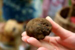 Marché aux truffes et gourmand