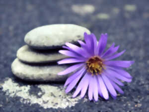 photo Salon : le bien-être dans tous ses états !