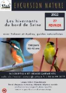 photo Excursion nature : les hivernants du bord de Seine