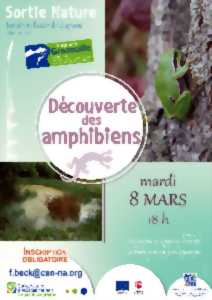 photo Sortie nature : à la découverte des amphibiens - COMPLET