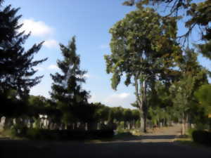Visite guidée : le cimetière sous toutes ses coutures