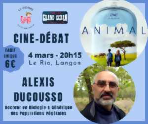 photo Ciné-débat - Film Animal