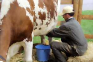 photo Les mardis à la Ferme du Lion d'Or