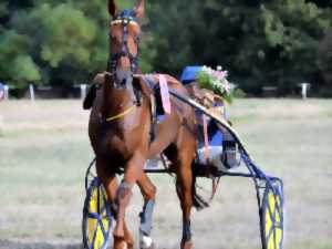 photo Course de trot à l'Hippodrome de Lisieux - Premium