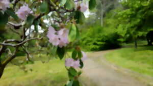 photo Ouverture de l'Arboretum des Barres