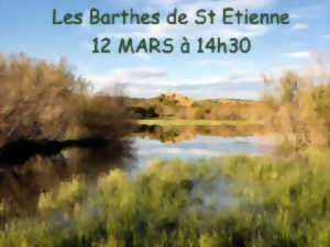 photo À la découverte des barthes de l'Adour