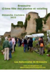 photo Fête des plantes
