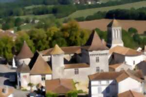 Mapping sur la façade intérieure du château