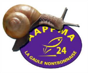 Journée Escargots farcis