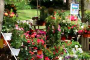 photo Fête des fleurs et des abeilles