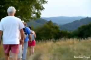 photo 13ème Rando des fours