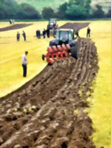 photo Concours de labour, vide greniers