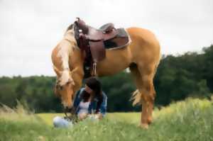 photo Les bases de l'équitation western