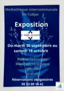photo Exposition La maille passante
