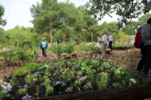 photo ARCACHON POUR NOUS:  Le Jardin Partagé, au nom de la biodiversité