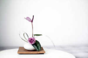 photo Atelier Ikebana