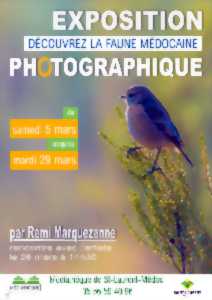 photo Exposition photographique