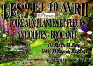 Foire aux plantes et fleurs et Brocante - Antiquités