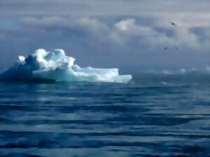 photo Conférence : Océan et changement climatique