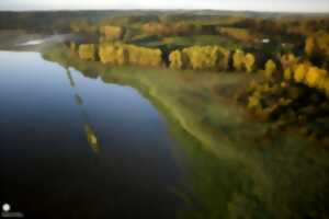 photo Randonnée naturaliste au marais d'Orx