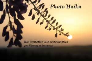 photo Haikus et Photographies