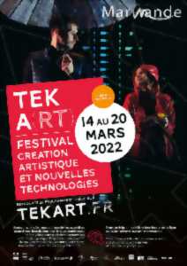Festival Tek A(rt) Ticket