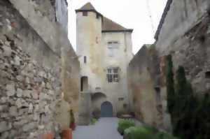 photo Visite guidée : Orthez, cité médiévale