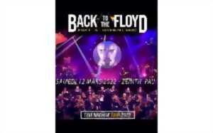 photo Concert: Back to the Floyd