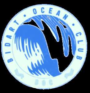 BIDART OCEAN CUP / Fête du club du Bidart Océan Club