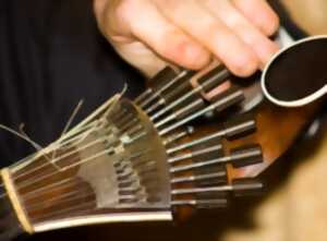 photo Festival Terres de guitares