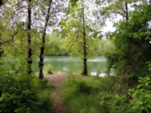 photo A la découverte d'une île de Loire