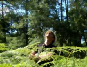 photo Visite guidée autour de la découverte des plantes sauvages et des champignons comestibles de nos forêts