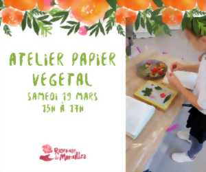 photo Atelier Papier Végétal