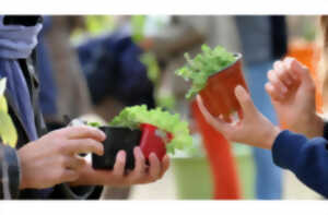 photo Troc de plantes