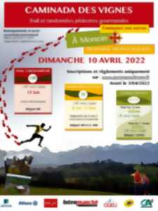 Caminada des vignes