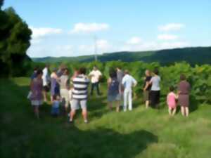 photo Apéritif vigneron bio, au domaine Clos Basté