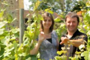 photo Apéritif vigneron bio, au domaine Clos Basté