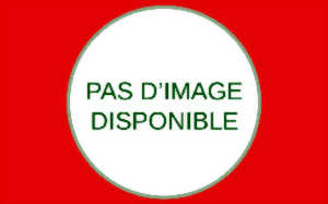 photo Après-midi dansant