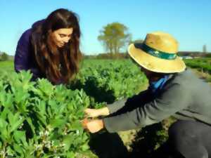 photo Initiation aux plantes sauvages comestibles