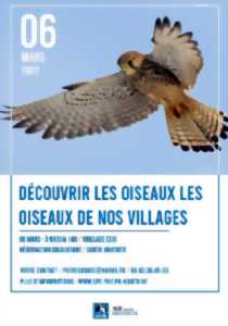 photo Découvrir les oiseaux de nos villages